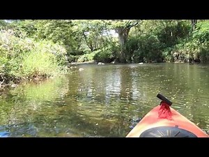 Wailua River Kayak Trip - Kauai, Hawaii - Plus Short Hike To Waterfall