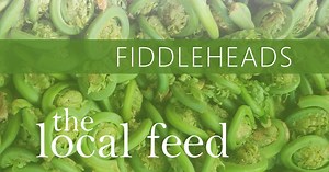 The Local Feed:Fiddleheads | Schoharie Valley Farms