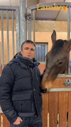 Rencontré à Vougy où il est installé, Olivier Perreau revient sur son parcours jusqu’au plus haut niveau, ses objectifs sportifs de l’année, et la relation unique qu’il partage avec sa jument GL events*Dorai d’Aiguilly. 👉 Il explique également pourquoi il a choisi Lambey pour l’alimentation de ses chevaux. Un choix guidé par les retours de nombreux cavaliers de haut niveau, la qualité de l’alimentation et le suivi personnalisé proposé par nos équipes, jusque dans les moments clés, comme les Jeu