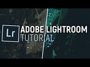 ADOBE LIGHTROOM TUTORIAL - Anfänger / Grundlagen / Bildbearbeitung | Deutsch / German