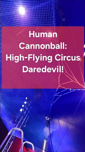 Human Cannonball Launch | Miami Youth Fair Circus Spectacular Flight & Landing - #extreme #circus
