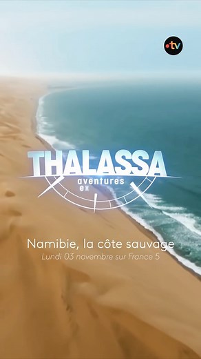 Quoi de plus beau pour commencer votre semaine 😍 ? Le documentaire en intégralité : https://www.france.tv/france-5/thalassa-aventures-extremes/7642769-namibie-la-cote-sauvage.html | Thalassa