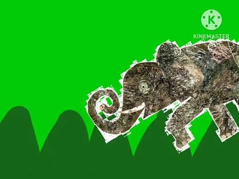 Learn the ABCs E is for Elephant