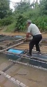 14K views · 90 reactions | Otai Sedang Mancing., Dalam Mencelah Kayu. Siap Dengan Tenang. Ingatkan Benda Apa Yang Sangkut.. Sekejap Lagi Nampak. | Penang Public Fishing Club - PPFC | Facebook