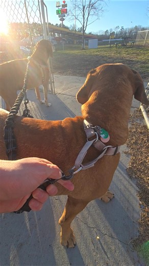 Loves gas station 🇺🇸 Chattanooga