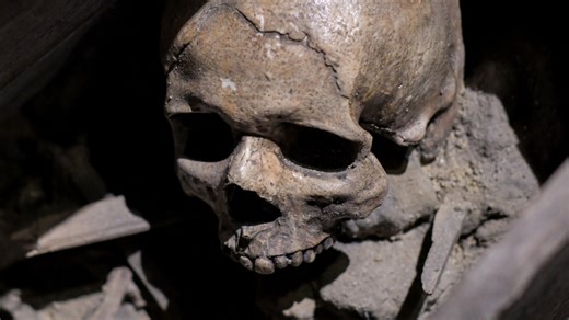 What happens to your body after 10 years in a coffin