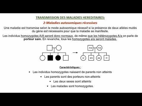 L'hérédité Humaine