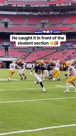 Incredible Football Catch in NFL Stadium!