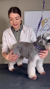 🚨👍Pro handling tip👍🚨 Who else does this? Hands up 🙌 I often think of this as how a farrier would work… Letting the animal know what you want Snatching away at the dog’s legs is only going to make them feel worried and insecure Dog handling is part of the many hats we wear as groomers Work consciously Makes the dog feel more secure, trusting and comfortable on the table by training them to understand that when you do this…. It means I would like this It’s amazing how many dogs positively res