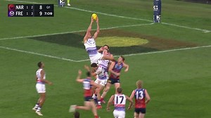 Lofty Lobb lifts off with screamer