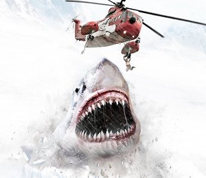 Ice Sharks Summary, Trailer, Season List, Cast, Where to Watch and More