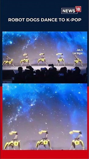 Dance Of The Future? Robot Dogs Groove To K-Pop Music, Internet Can't Get Enough | #shorts