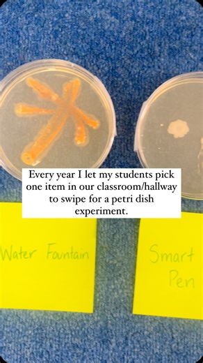 Allison Fisher | Y’all were such fans of my moldy bread experiment that I had to share my other favorite bacteria-filled classroom experiment! Comment DISH... | Instagram