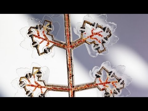 Synthetic Plants Clean Radioactive Waste From Soil