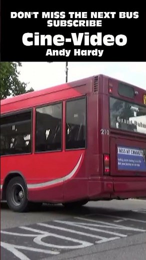 Royal Bus & Grant Palmer Dennis Dart MPD Plaxton Pointer 2