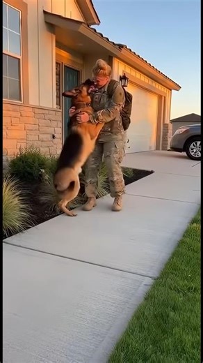 Soldier Reunites with Her German Shepherd #soldier #reunion #warmmoments