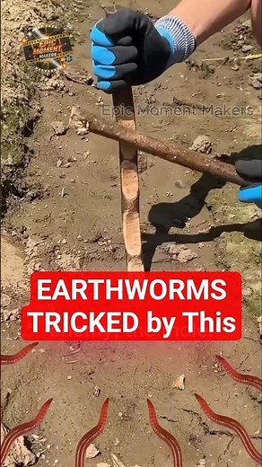 UNDERGROUND SECRETS: How Vibrations Control Worms 🌍 #shorts