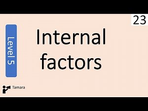 Internal Factors - Business management Level 5
