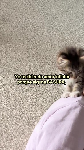 113 Adjetivos de Dross para Expresar Desagrado