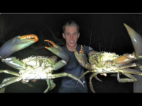 Mud Crabbing Secrets (How to Pick the Good Ones)