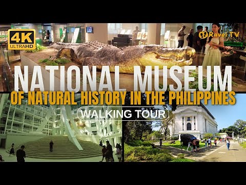 National Museum of Natural History | Philippines | Walking Tour | 4K
