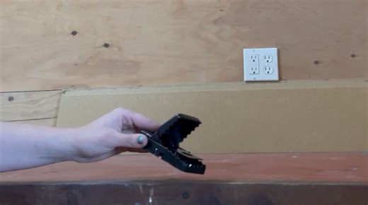 Watch This mouse trap is effective and affordable! on Amazon Live