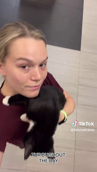 A Day in the Life as a Vet Assistant | Vet Tech Journey