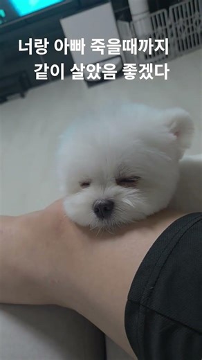 죽을때까지 같이살고싶다