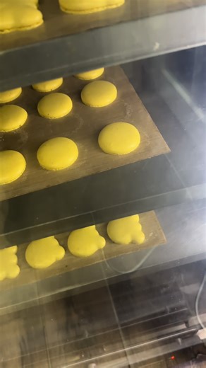 Stay tuned for the end results 😍🤗#winniethepooh #winnie #tiktok #tiktokviral