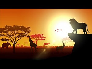 THE CIRCLE OF LIFE | Meditation Music, Calming, Lion King Soundtrack, Elton John