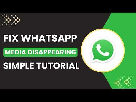 How to fix WhatsApp media disappearing