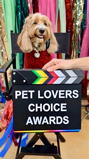 J Fanny Karpman and Gracie Rainbows | 🎬 STOP SCROLLING FUR FAM 🎬 Gracie is officially the FIRST-EVER DOG PRODUCER 🐶🎧 and obviously… it just makes sense Welcome to the Pet... | Instagram