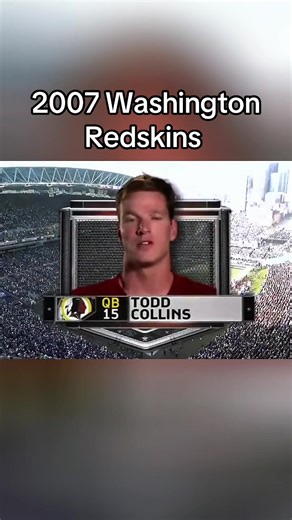 2007 Washington Redskins Season Overview
