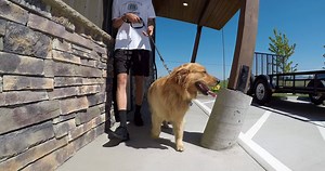 29K views · 65 reactions | Proud makers of the world’s most secure, strongest, and safest aluminum dog crates! | Impact Dog Crates | Facebook