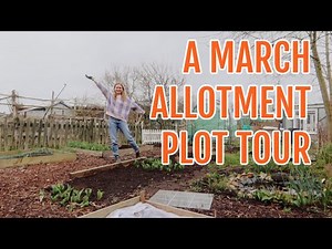 MARCH ALLOTMENT PLOT TOUR 2023 / ALLOTMENT GARDENING FOR BEGINNERS