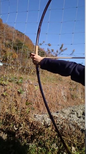自作弓をひく (竹三枚重ね) homemade bamboo bow