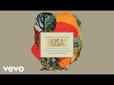 Contemporary Mexican Music: Not Your Abuelita's Mariachi