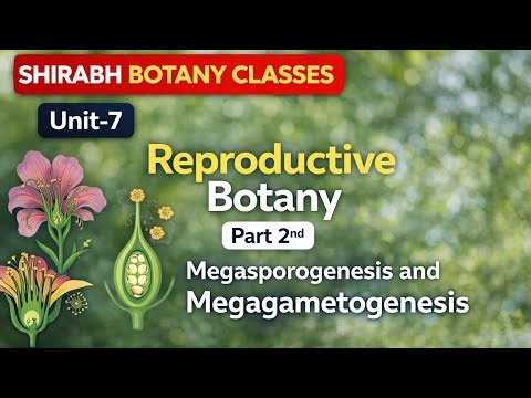 Reproductive Botany|B.Sc. 2nd Semester|Megasporogenesis|Embryo sac development|| Archaegoniate