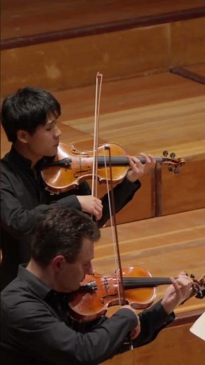 Bach – Air | Philharmonie der Solisten | Live at Herkulessaal Munich, #classic, #concert, #live