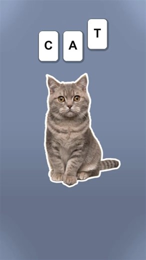 What is Cat in Japanese? (Correct Pronunciation)