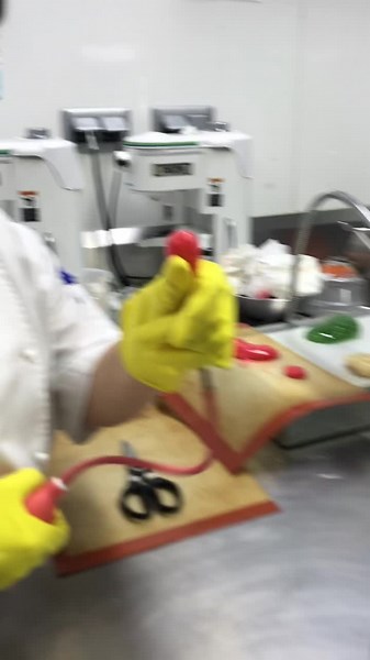 Chef Lucia Pandora on TikTok