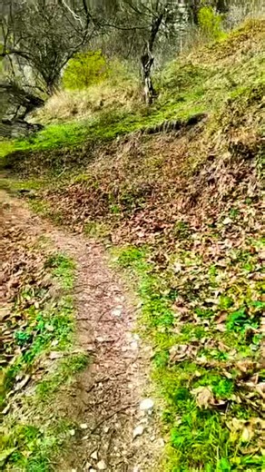 Am bananait mult prin tara asta, nord, sud, vest sau est, dar parca zona asta mi s-a lipit de suflet. Triunghiul format de Resita, Moldova Noua si Herculane e ceva de vis, tocmai de aceea urmatoarea tura in zona o sa fie a zecea pentru mine. Deja am planuit sa parcurgem per pedes, traseul caii ferate Oravita-Anina. Da, o zona minunata pe care v-o recomand din inima! #banatulmontan #inelet #cheilenerei #herculane Petcu Valentin Andrei Dumitru Lilian Ivan Enghel Emil Andrew Spielmann Aripa Catifel