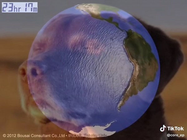 Nada que ver con mi contenido pero les invito a mi primer tsunami 😔☝🏼 #tsunami #xd #xzybca #foryoupage #paratiiiiiiiiiiiiiiiiiiiiiiiiiiiiiii