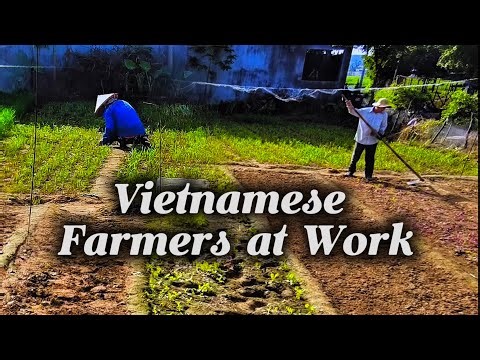 Starting a Vegetable Garden in Rural Vietnam | Farmer’s Life(Ep1)