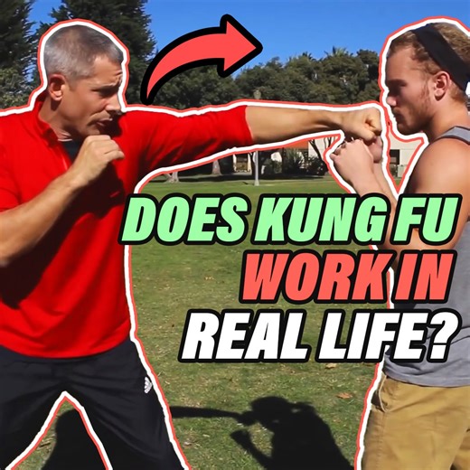 1.4M views · 2.3K reactions | King Fu DOES work on the Street! | FIGHTTIPS | Facebook