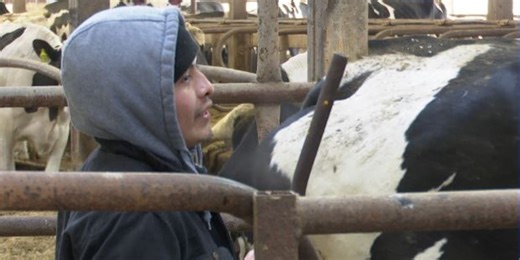 Trump reportedly open to changing farm worker visa rules