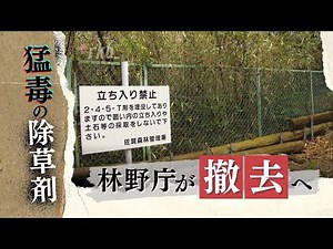 全国に残る猛毒のダイオキシンを含む“除草剤”埋没点、林野庁が一部を撤去へ