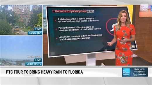 172K views · 2K reactions | Here’s what you need to know about Potential Tropical Cyclone Four: | The Weather Channel | Facebook