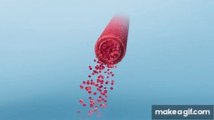 Blood Flow & Vascular Resistance on Make a GIF