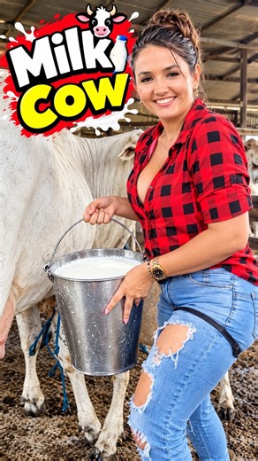 Maria’s American Cow Farm 🐄🇺🇸🌾 | Cow Farming, Fresh Milk & Dairy Farm Life | Maria Vlogs #cowfarm